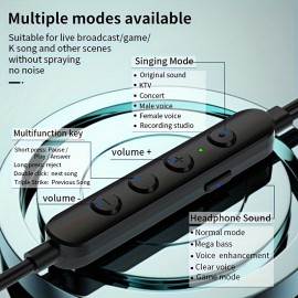 Type-C Wired Voice-Changing Earphones, Intra-Auricular Karaoke Buds with Sound Card and Volume Control Buttons for Multi-Mood Effects, Suitable for Live Streaming & Recording Singing, 3D Stereo HIFI Quality Gaming Music Vocal